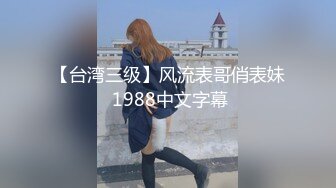 【台湾三级】风流表哥俏表妹 1988中文字幕