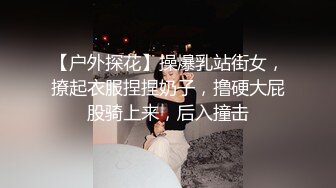 【户外探花】操爆乳站街女，撩起衣服捏捏奶子，撸硬大屁股骑上来，后入撞击